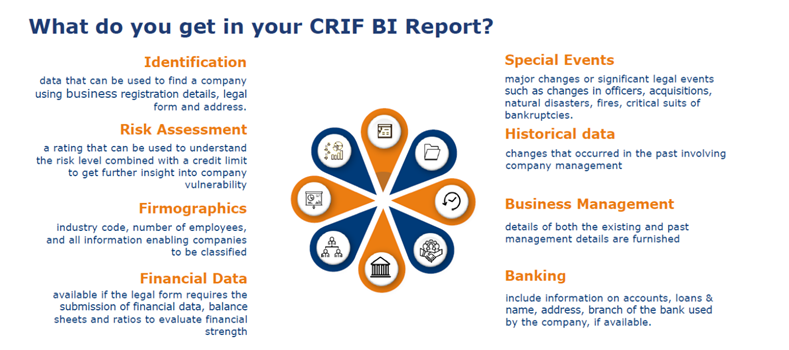 Features of CRIF's Business Information Report